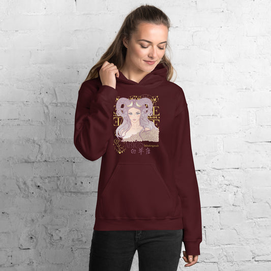 Aries Hoodie Sweatshirt-0