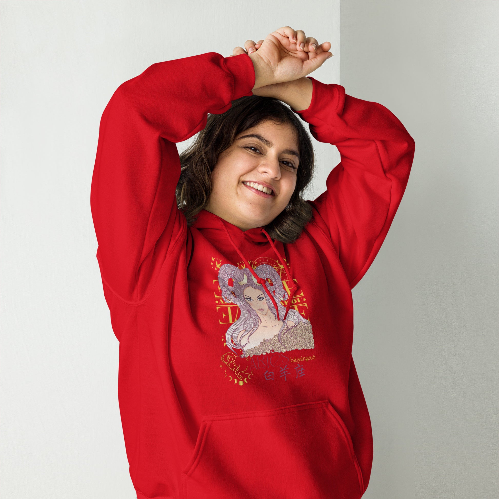 Aries Hoodie Sweatshirt-6
