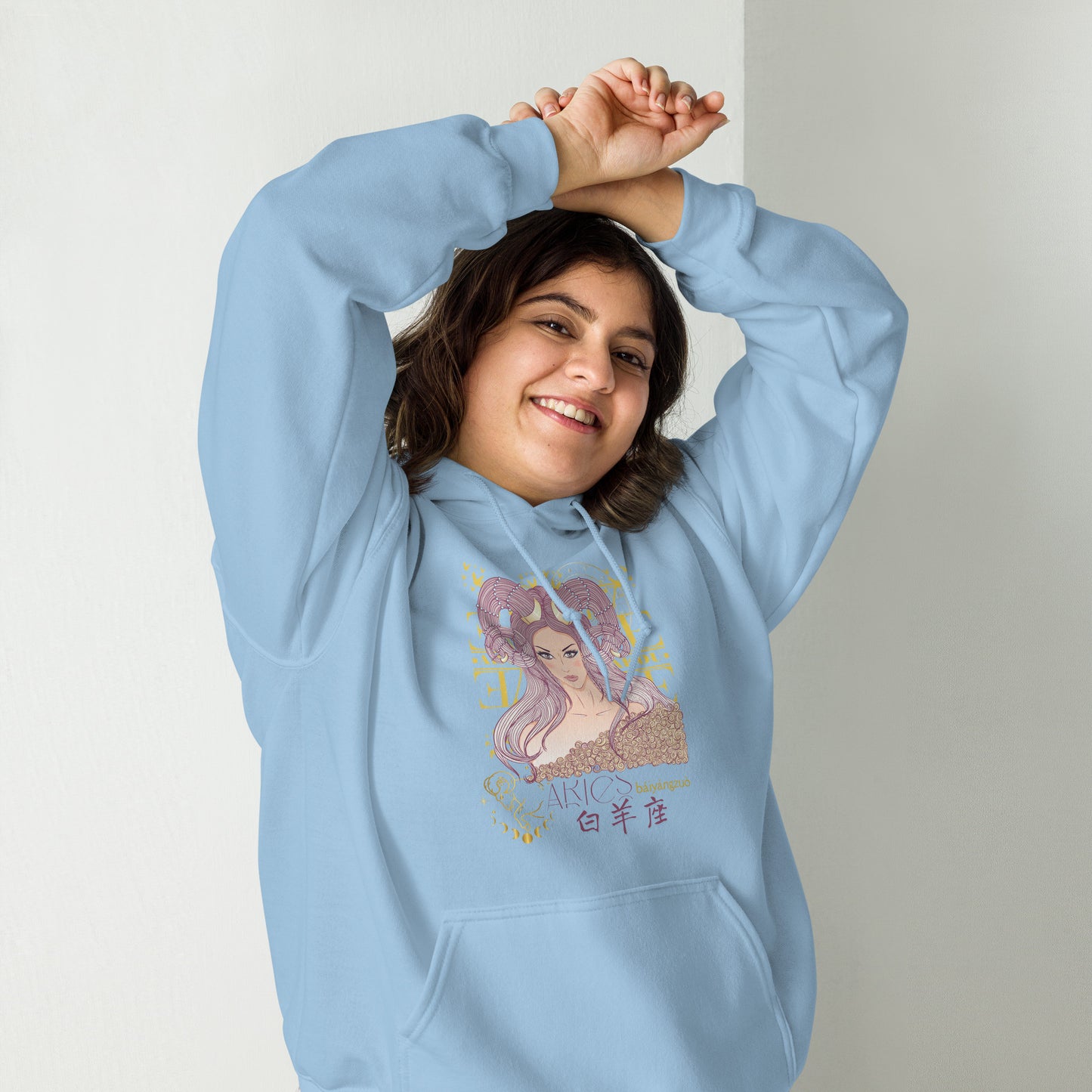 Aries Hoodie Sweatshirt-12