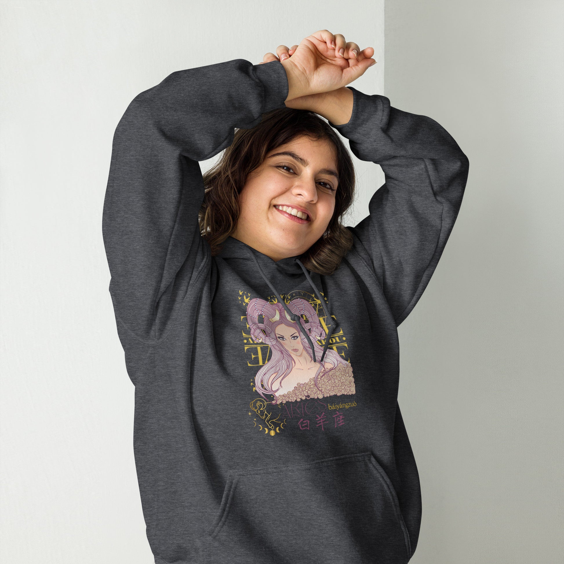 Aries Hoodie Sweatshirt-7