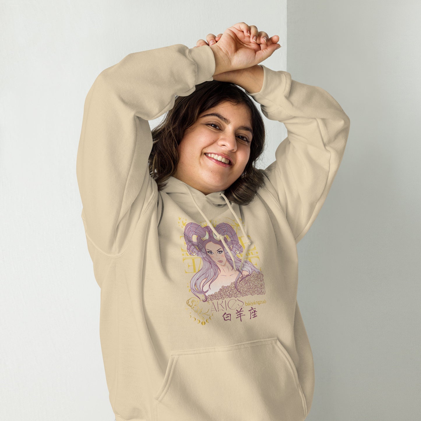 Aries Hoodie Sweatshirt-13